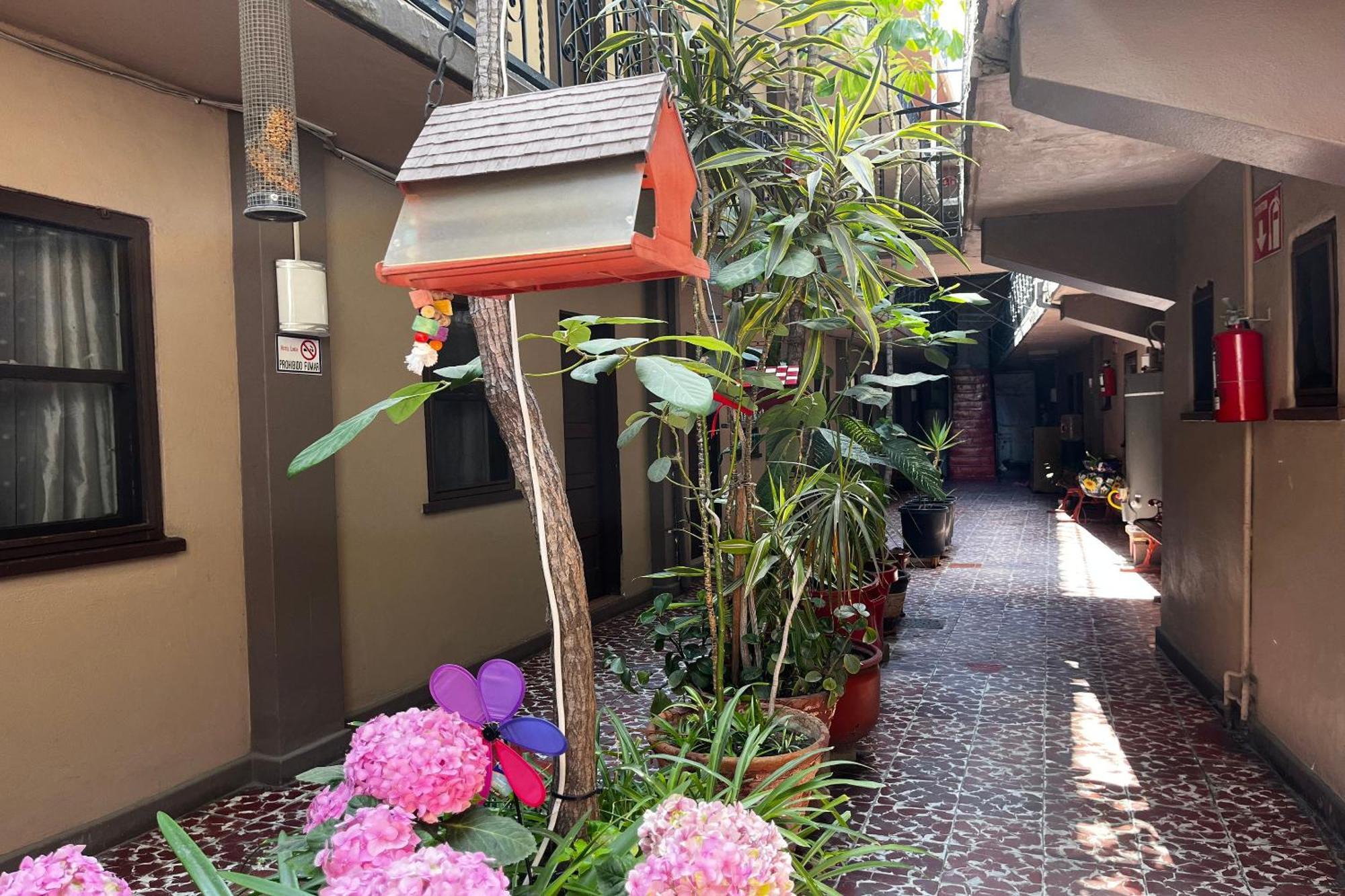 Hotel Oyo Linda Tijuana